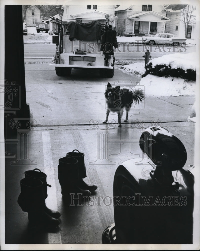 1960 Press Photo Topeka Kansas Smokey the dog at fire station as a mascot - Historic Images