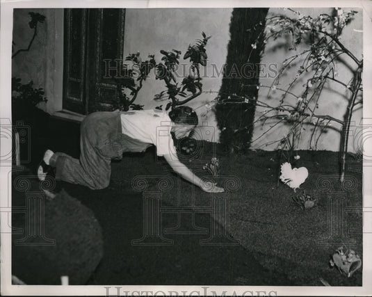 1936 Press Photo Mrs. Edward Harton fixing persian garden for annual Int'l show - Historic Images