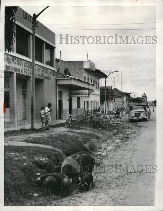 1966 Press Photo Pucallpa Peru most townsfolk are to busy to worry about - Historic Images