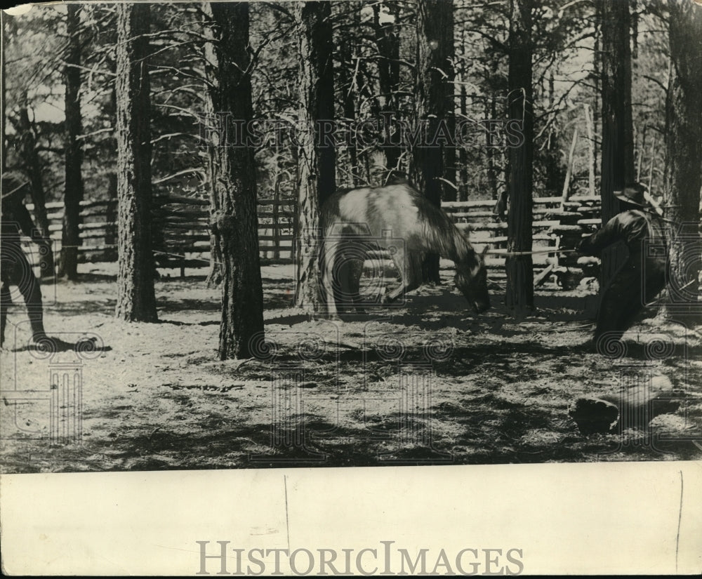 1925 Press Photo Farmer struggling with wild horse - ned19749 - Historic Images