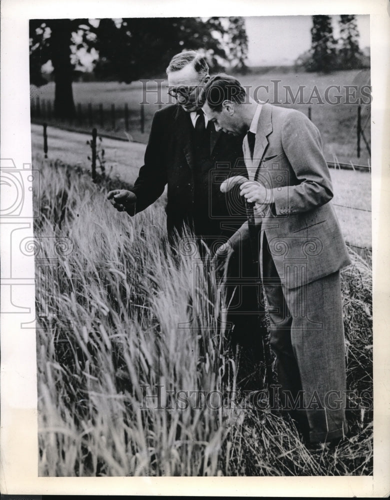 1942 Press Photo King George with A. Ritchie on a barley farm in Windsor - Historic Images