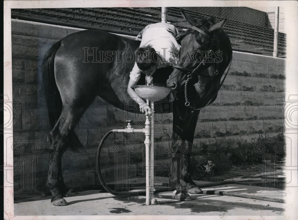 1947 Press Photo Hays Kansas Carl Schultz and his horse take a temporary break - Historic Images