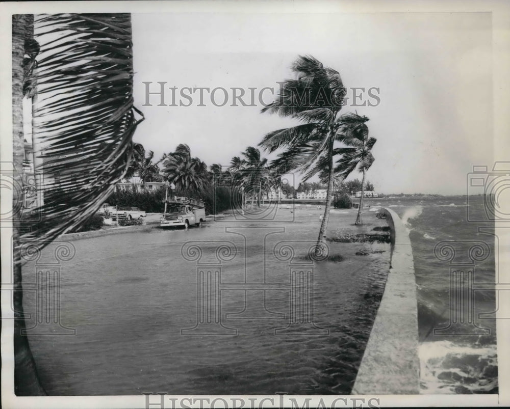 1958 Press Photo Miami Fla the moon is responsible for the situation in Miami - Historic Images