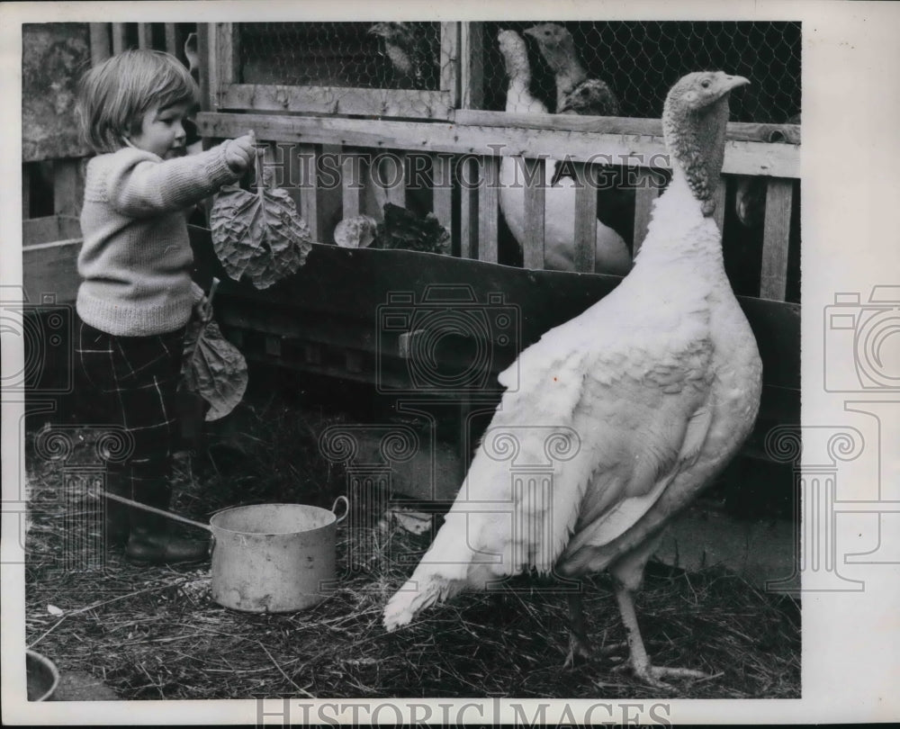 1958 Press Photo Elaine Deadman, 2, offers turkey succulent cabbage - Historic Images