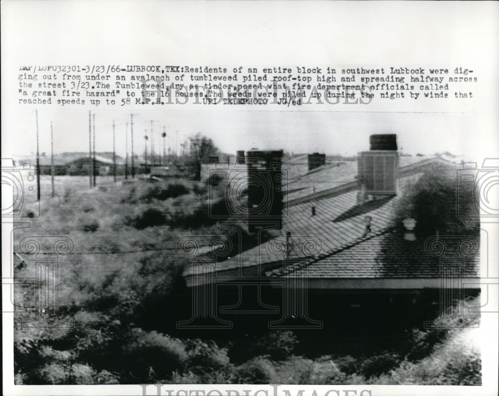 1966 Press Photo Residents forced to evacuate as tumbleweeds sit on a rooftop - Historic Images