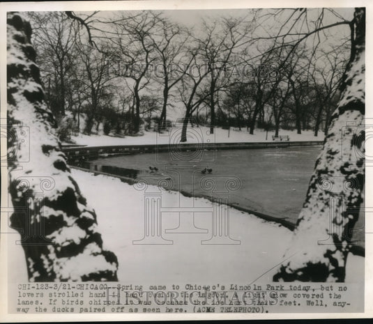 1947 Press Photo Spring Came To Chicago's Lincoln Park Today - Historic Images