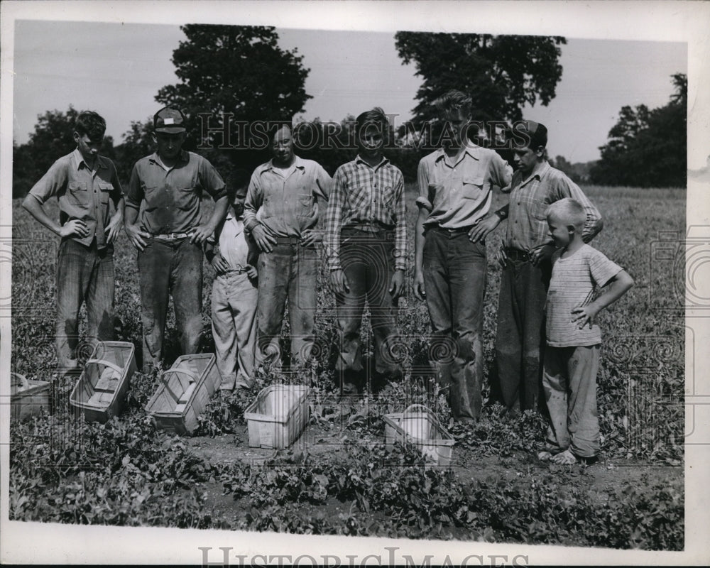 1946 Press Photo Disgusted Pea Pickers-Historic Images