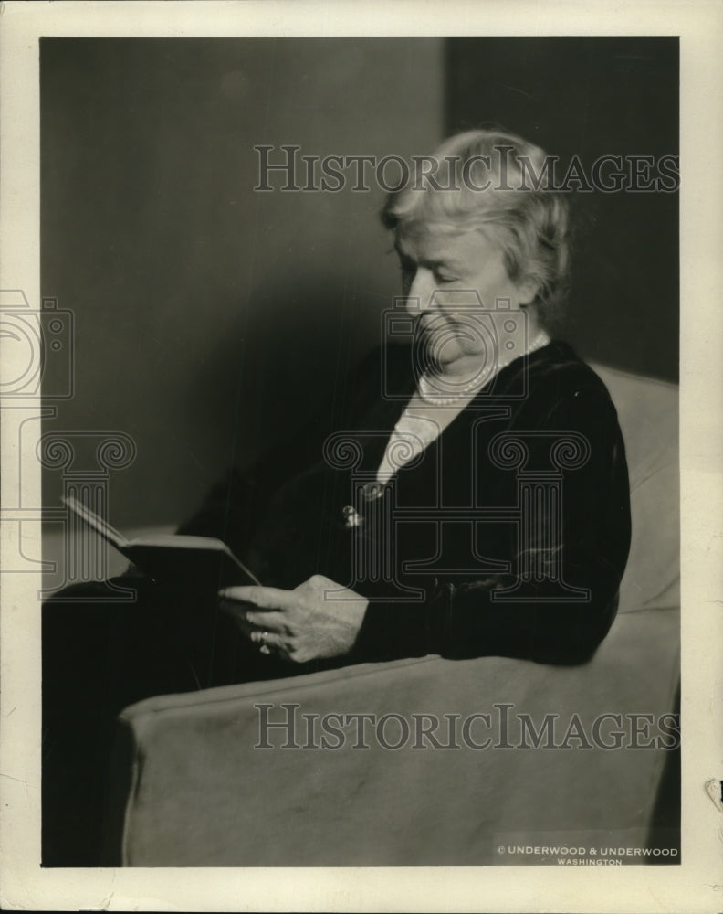 1933 Press Photo Mrs. R Gouneneur - Historic Images