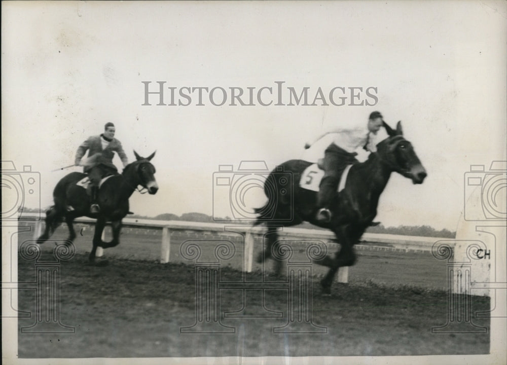 1939 Press Photo Black Pietro and Sunburn in a Mule race at Charles Town - Historic Images