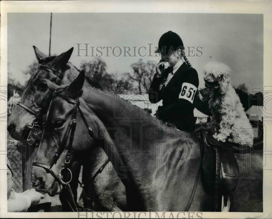 1951 Press Photo Jennifer Skelton with her poodle, "Moth" sat in the saddle - Historic Images