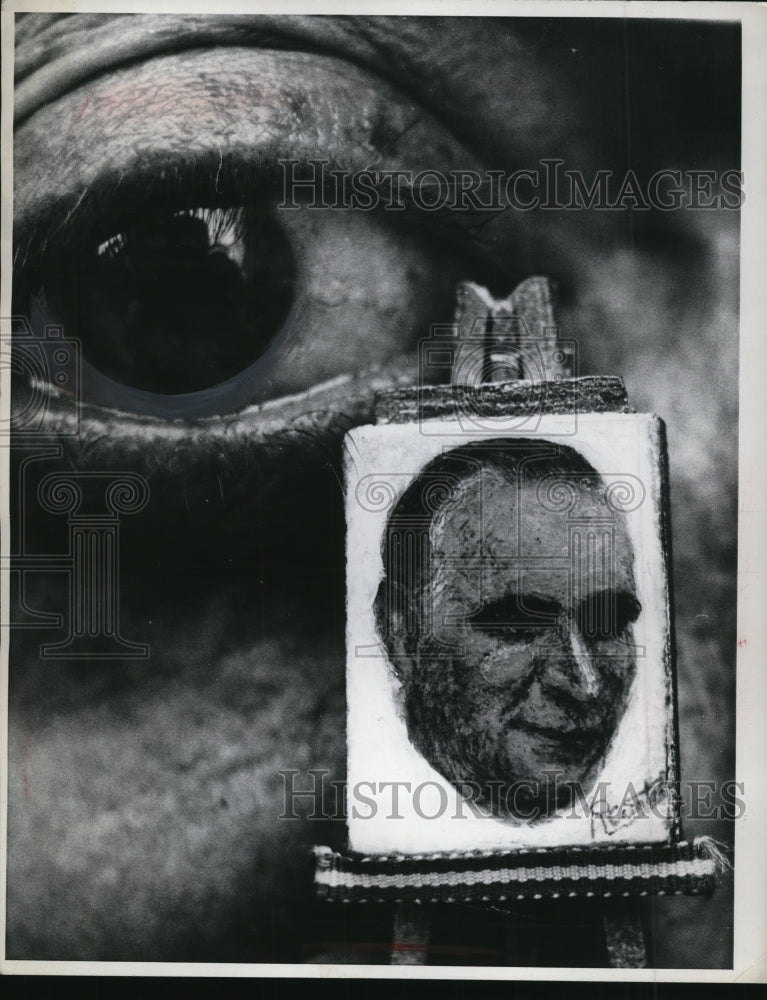 1969 Press Photo One Square Centimeter Georges Pompidou Portrait by Roger Curti-Historic Images