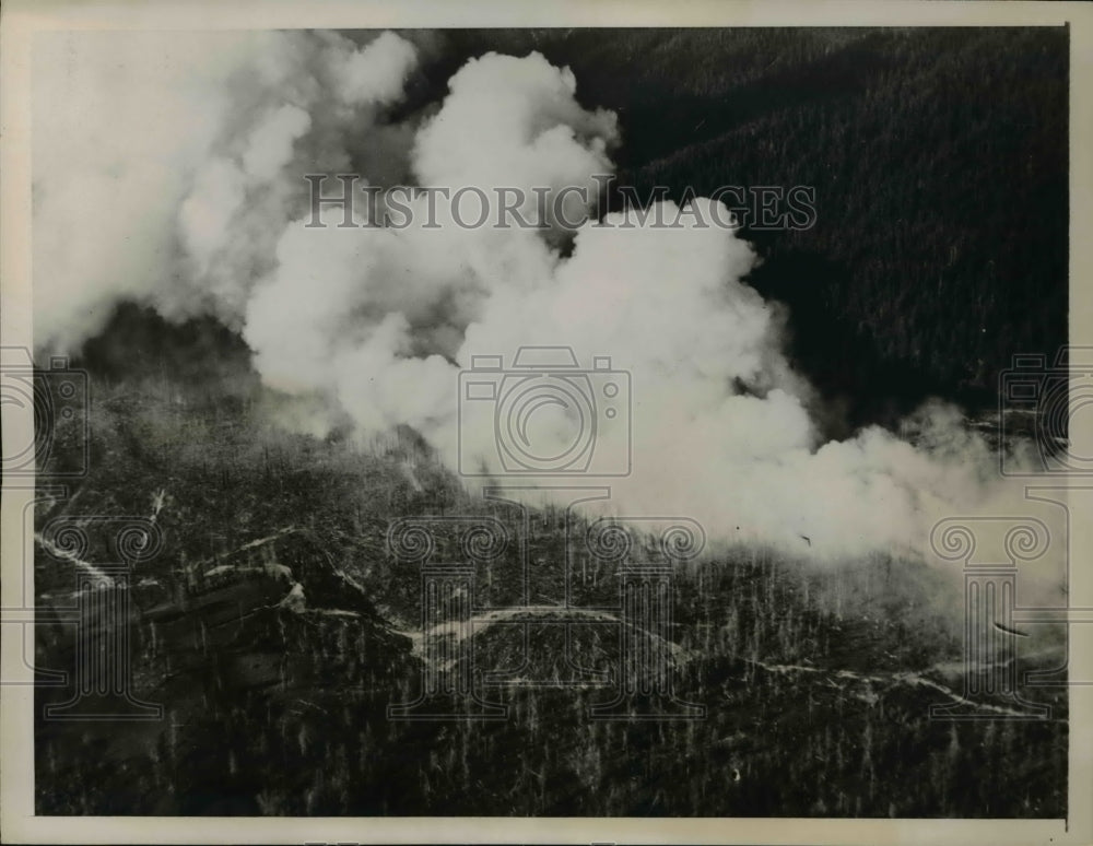 1936 Press Photo Aerial view of wild fire in forest in Oregon-Historic Images