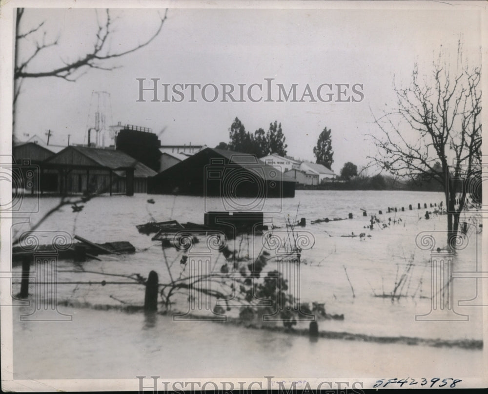 1937 Russian River Flood Waters Wash Out Healbsburg California Farm-Historic Images