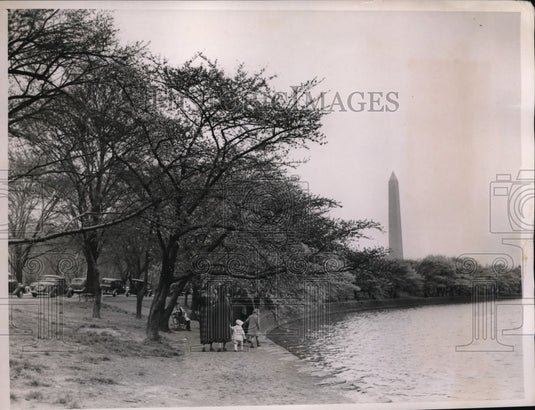 1937 Press Photo Cherry Blossom at the National Capital in Washington Monument. - Historic Images