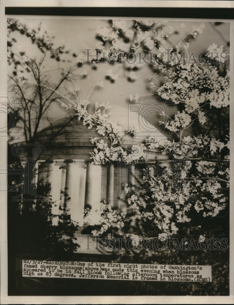 1949 Press Photo The Washington&#39;s famous cherry blossoms - Historic Images