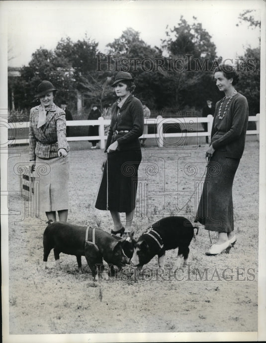 1935 Press Photo Three little pigs decided they didn't want to exert themselves - Historic Images