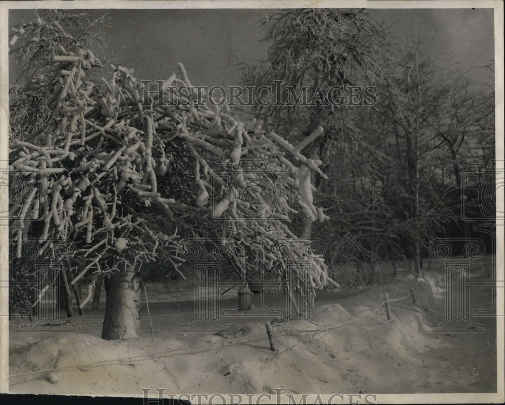 1945 Press Photo Niagara Falls NY with a coat of winter snow - Historic Images