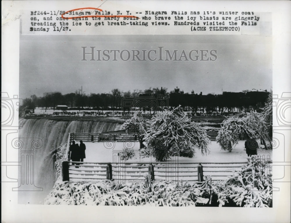 1950 Press Photo Niagara Falls NY  winter snow on the trees - Historic Images