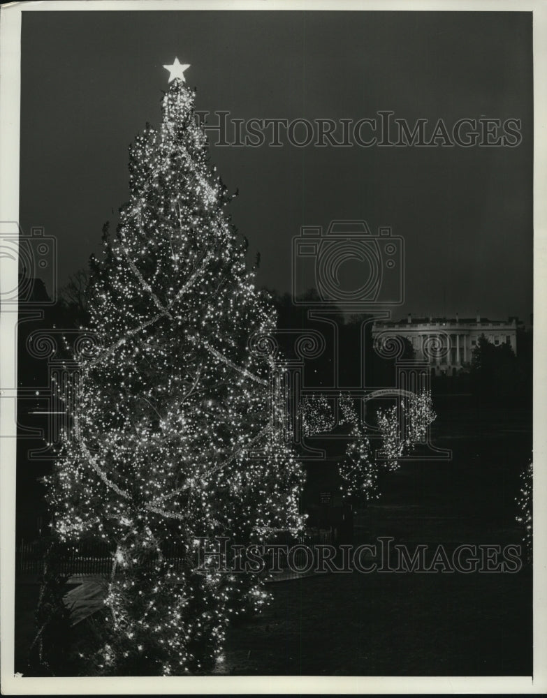 1963 Press Photo The White House Christmas Trees - Historic Images