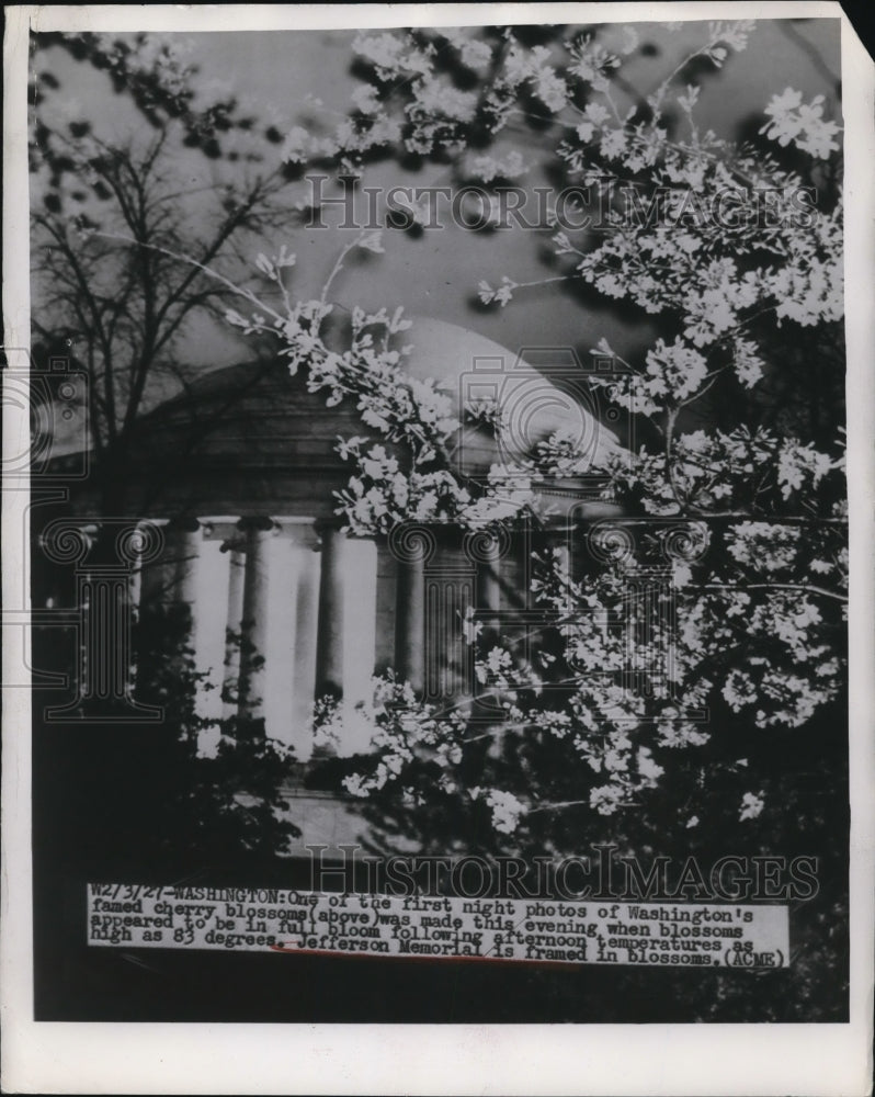 1949 Press Photo One of the nights of the cherry blossom at Jefferson Memorial - Historic Images