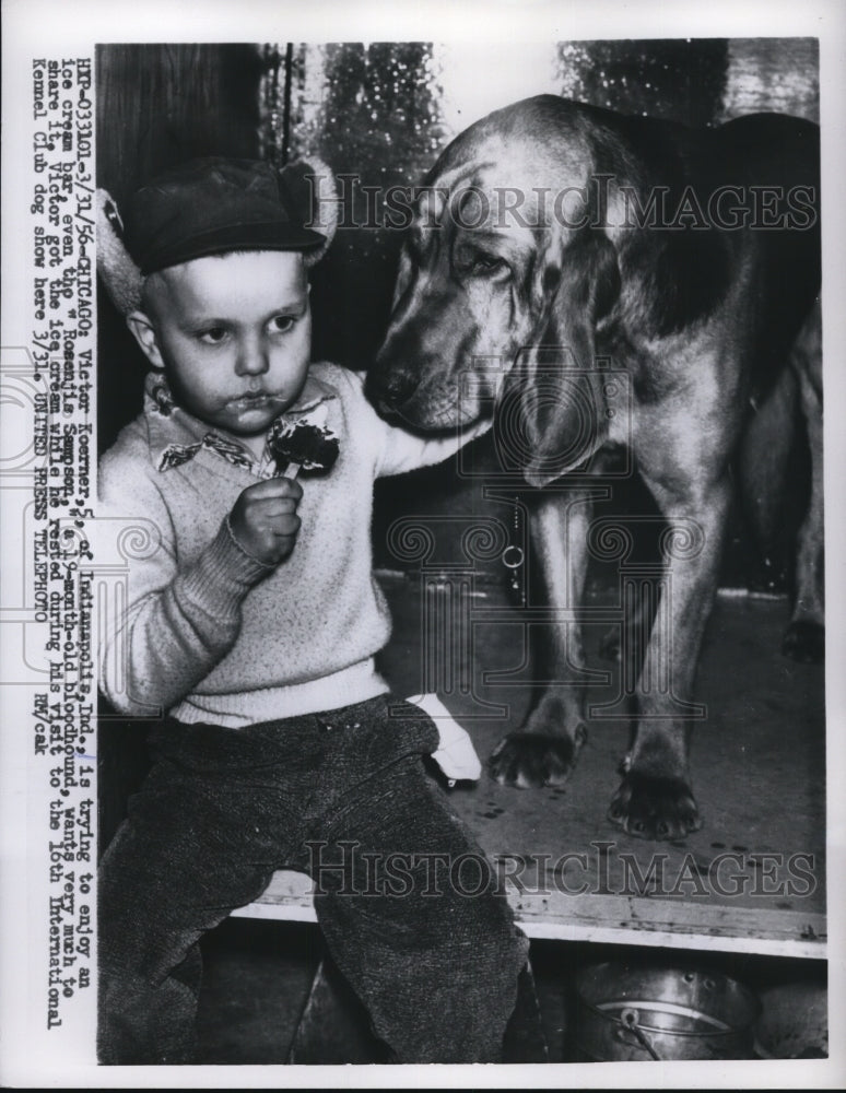 1956 Press Photo Chicago Victor Koerner &amp; Rosejim Sampson the bloodhound - Historic Images