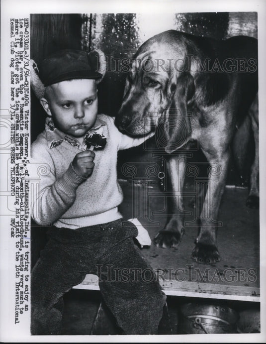 1956 Press Photo Chicago Victor Koerner & Rosejim Sampson the bloodhound - Historic Images