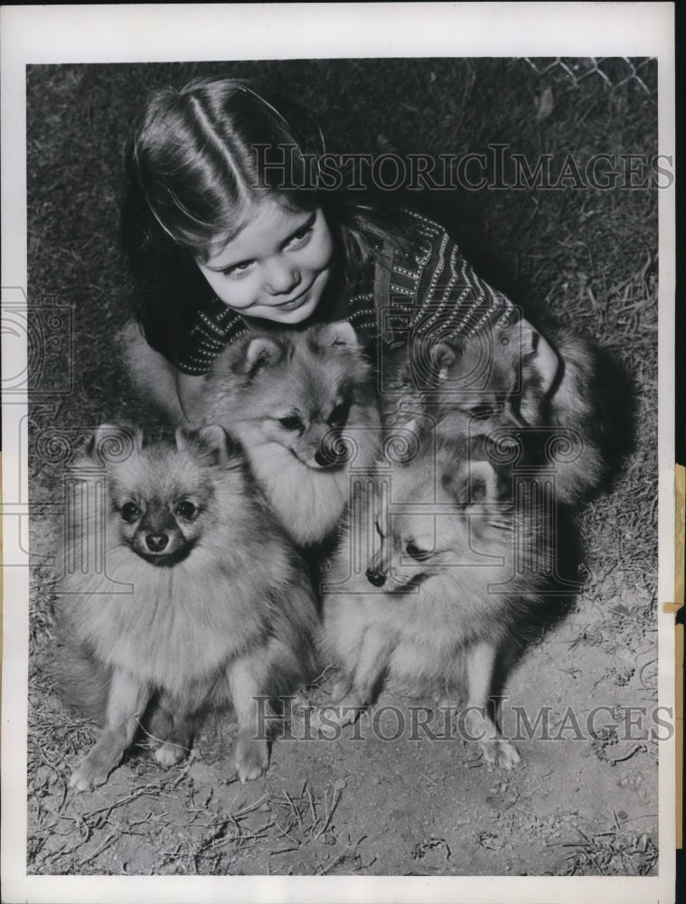 1946 Press Photo Margaret Lee Kilbourne and Pomeranians Beechwood Pennsylvania - Historic Images