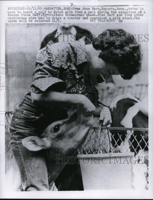 1962 Press Photo Erma Jean Karr teach a calf to drink milk from pail. - Historic Images