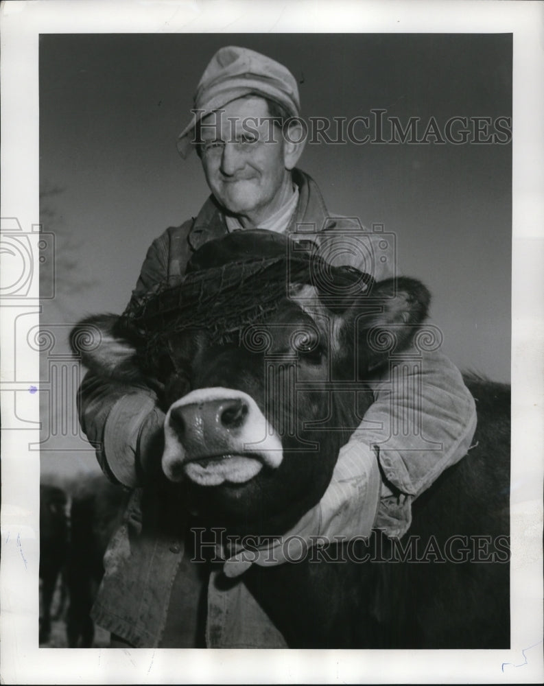 1954 Press Photo Leo Griffin Dresses Cow in Mourning - Historic Images
