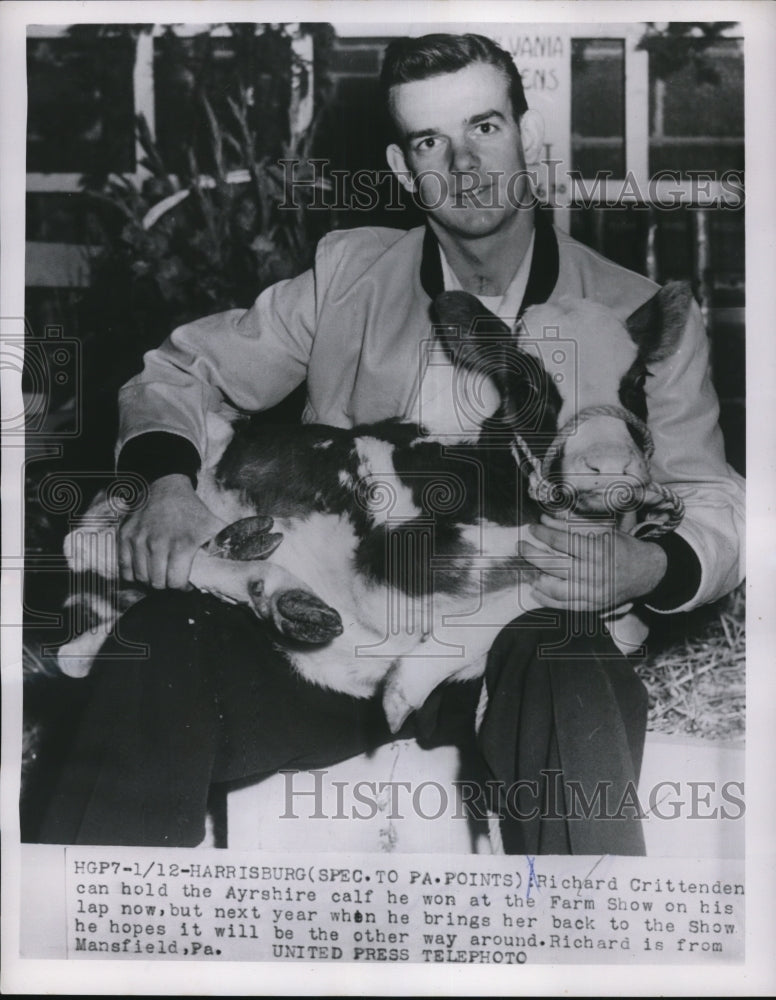 1954 Press Photo Richard Crittenden Holds Ayrshire Calf on his Lap at Farm Show - Historic Images
