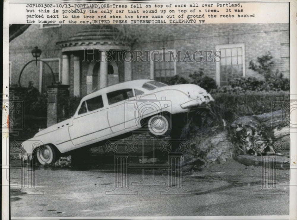 1962 Press Photo Trees fell on top of cars all over Portland - Historic Images