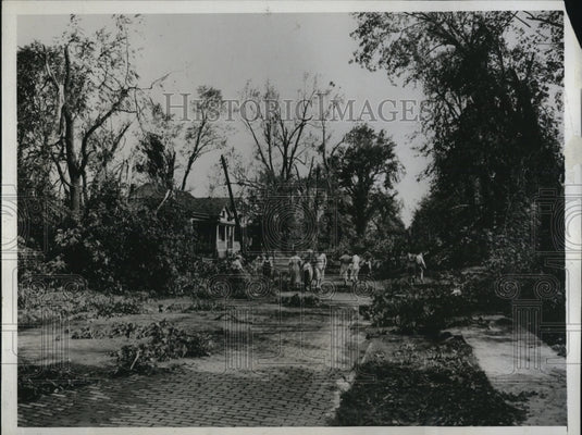 1934 Press Photo Fallen Tree in Residential Dist after Tornado hit Jacksonville - Historic Images