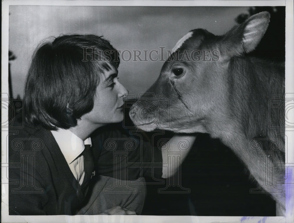 1985 Press Photo June Edwards acquainted with Susan the Calf at the London Zoo - Historic Images