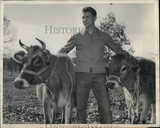 1949 Press Photo Johnny Clive Williams 19 prize ribbons in district cattle shows - Historic Images