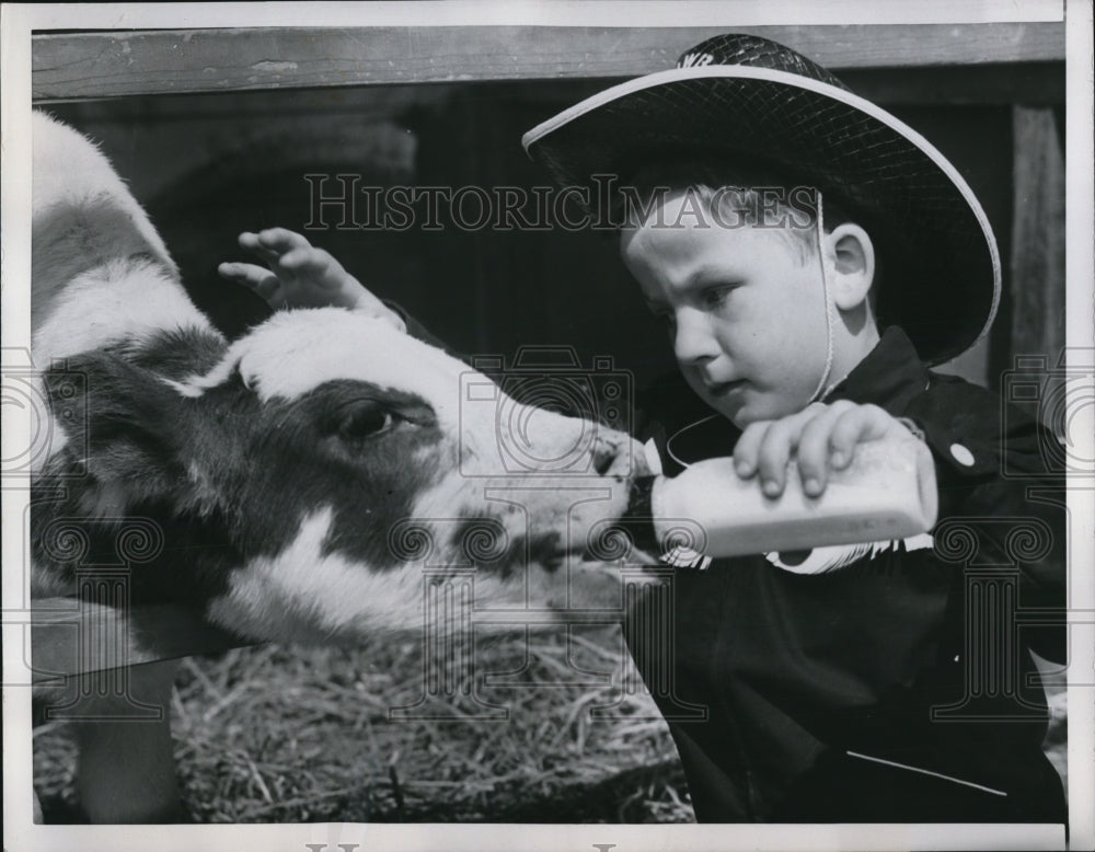 1953 Press Photo Blind Toddler&#39;s first Cow encounter-bottle feeding a calf - Historic Images