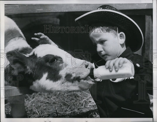 1953 Press Photo Blind Toddler's first Cow encounter-bottle feeding a calf - Historic Images