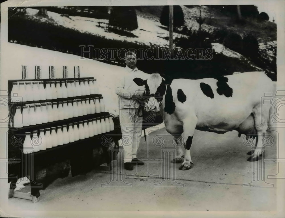 1936 Press Photo Holstein owned by Carnation Milk Farm - Historic Images