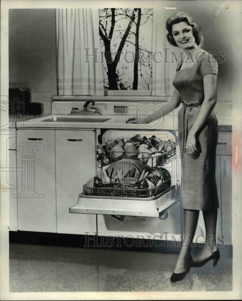 1964 Dishwasher-Sink-Historic Images