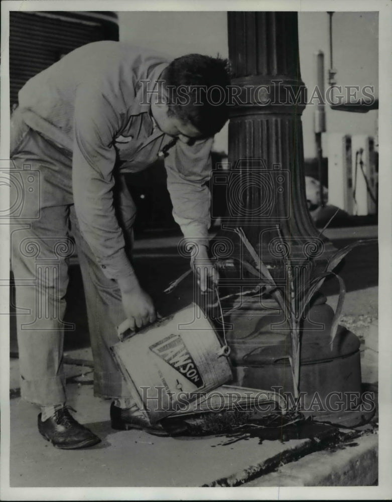 1949 Press Photo Corn plant grow from the concrete street in Indianapolis - Historic Images