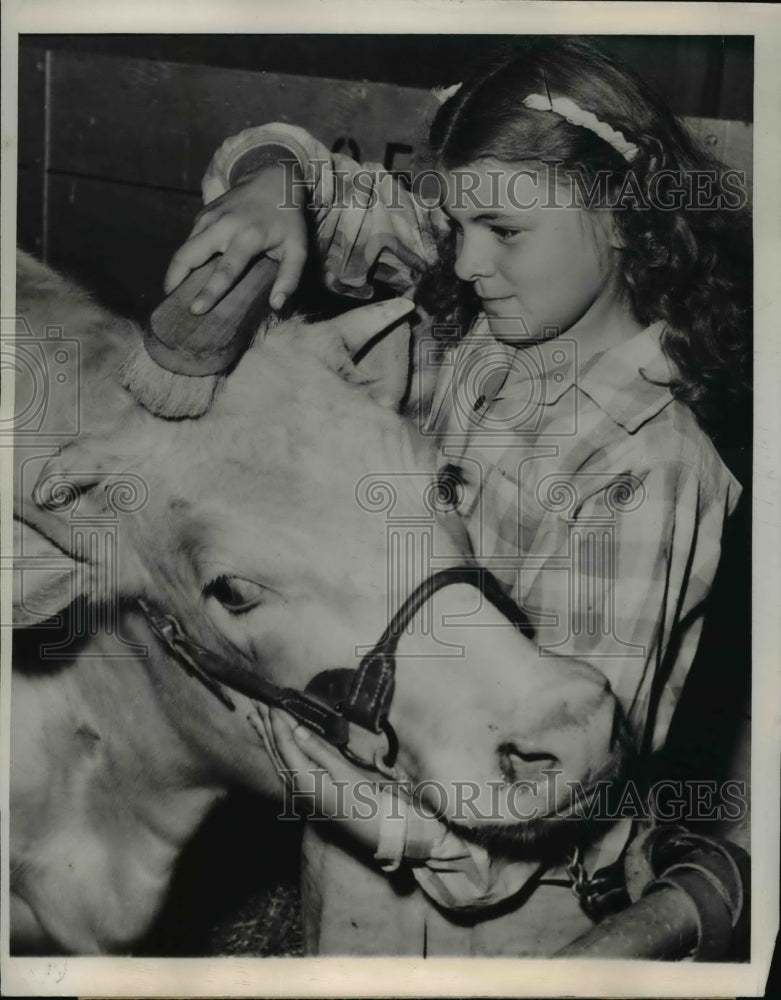 1948 Press Photo Millvally Gloria brushing heifer calf - Historic Images