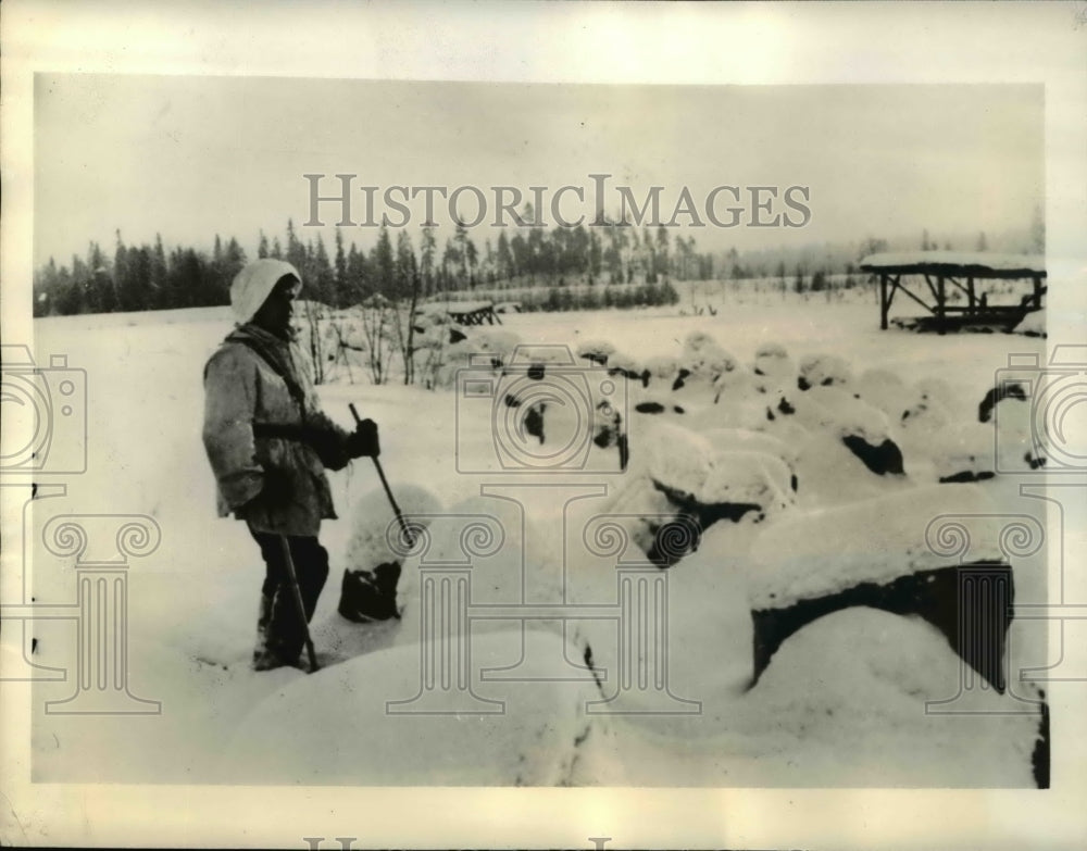 Snow camouflage Finnish Tanks-Historic Images