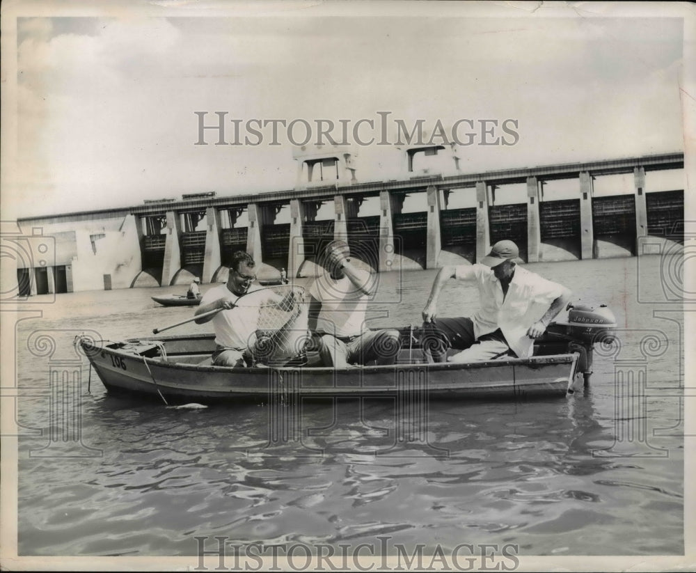 1962 Press Photo Fishermen just below Kentucky Dam - Historic Images