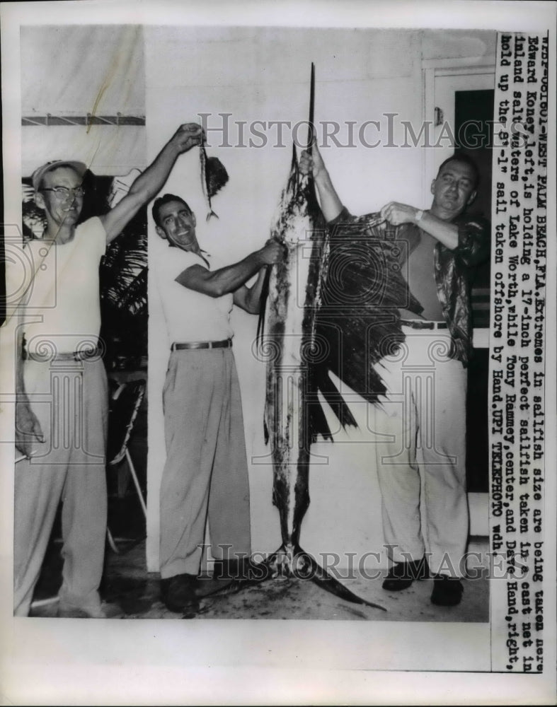 1958 Press Photo Perfect Sailfish caught by Edward Koney - Historic Images