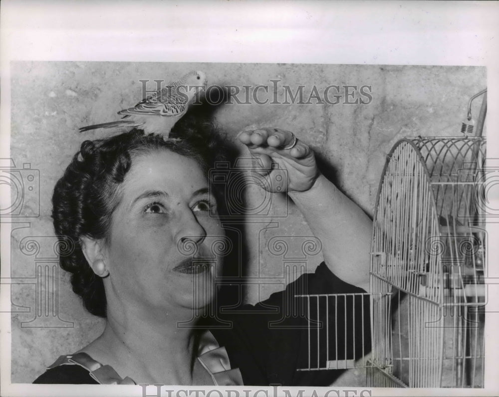 1959 Press Photo Bird lover with parakeet on her head - Historic Images