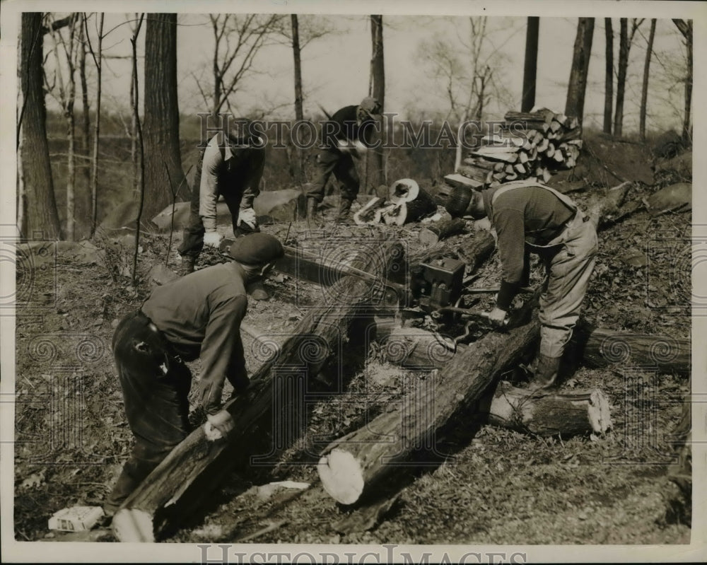 1949 Press Photo Boys cutting logs for scout camps in Bedford - Historic Images