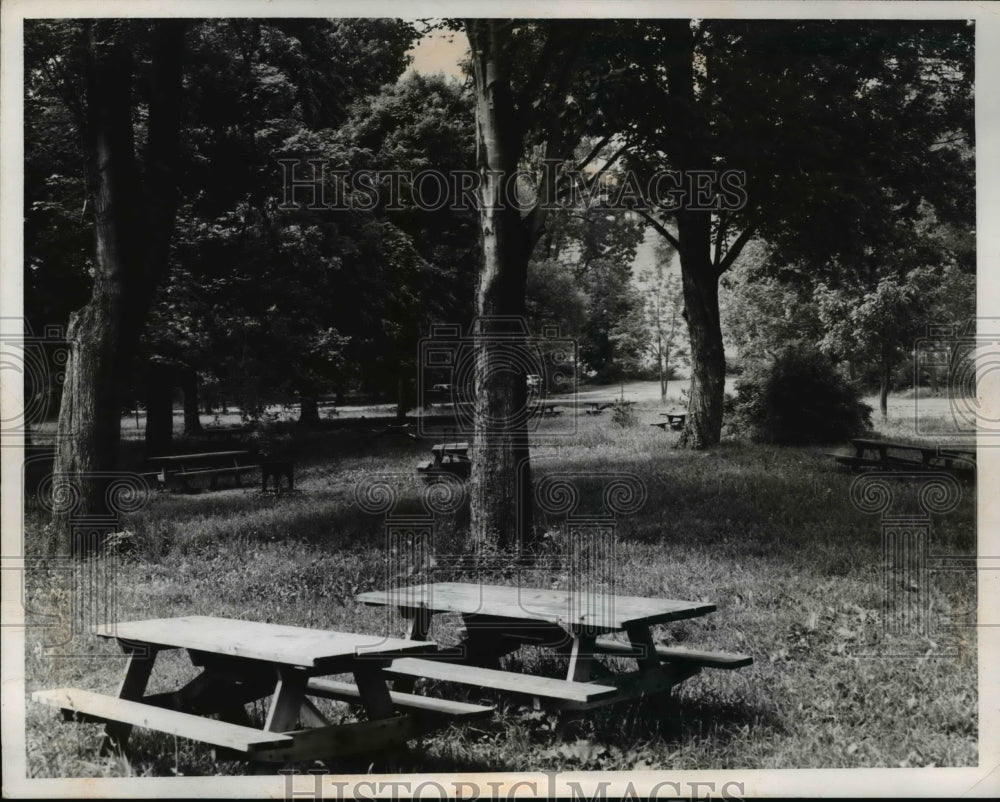 1959 Press Photo Picnic Area perfect for nature tripping - Historic Images