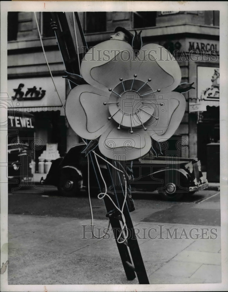 1953 Press Photo The huge illuminated rose, one of England&#39;s traditional symbol - Historic Images