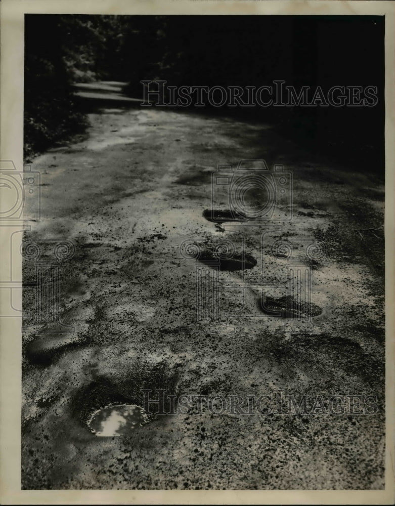 1950 Press Photo Walkway at Metropolitan Park in Ohio - Historic Images