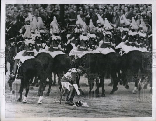 1952 Press Photo of one of the Queens Horse Guard retrieving his helmet. - Historic Images