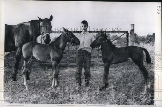 1965 Press Photo Logansport Ind David Willie holds halters of twin colts born to - Historic Images